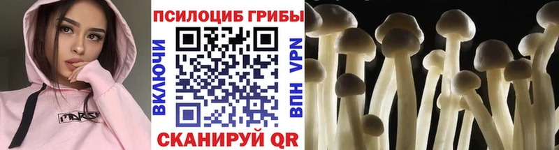 Галлюциногенные грибы мицелий  наркотики  Комсомольск-на-Амуре 
