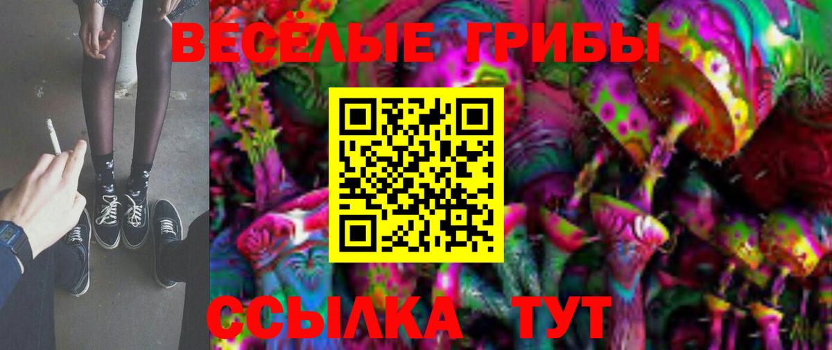Галлюциногенные грибы Psilocybe  Вход с VPN  Псилоцибиновые грибы Psilocybe  Комсомольск-на-Амуре 